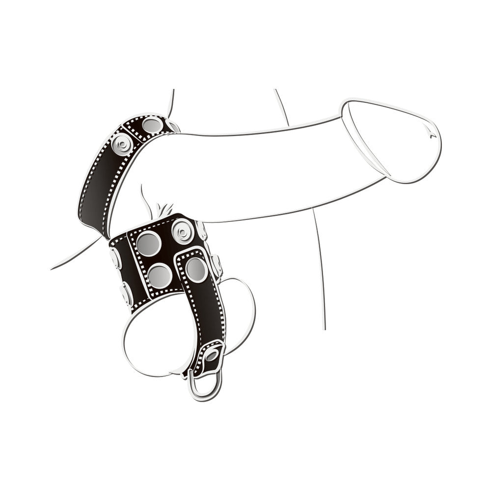 Ballgear Ball Stretcher with Separator & D-Ring – Black