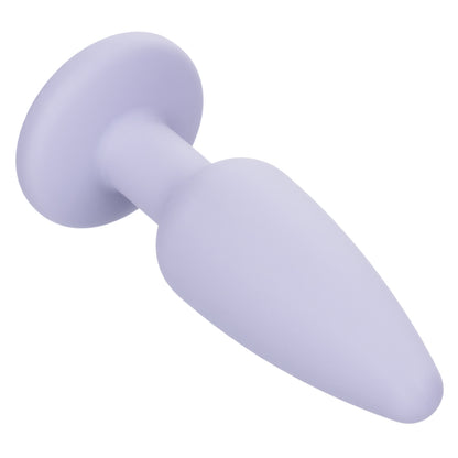CalExotics First Time Crystal Booty Kit – Graduated Anal Plugs – Purple