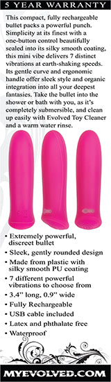 Evolved Novelties Pretty in Pink Rechargeable Bullet Vibe – Pink