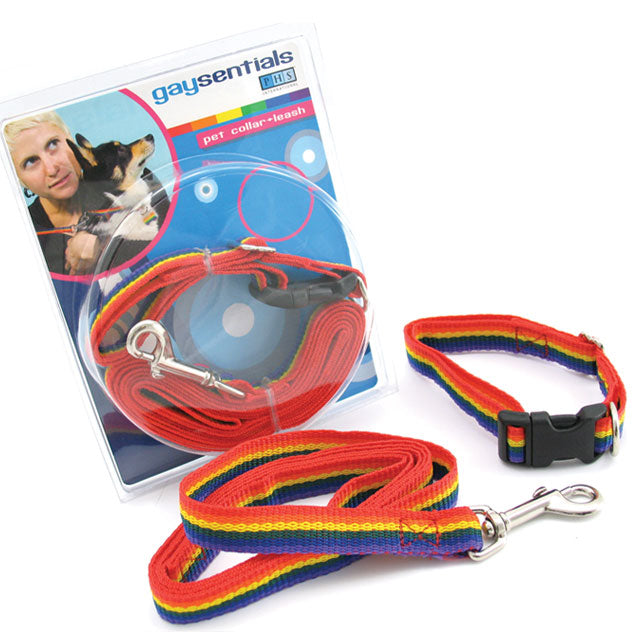 GS Pet Combo Leash and Collar - Medium - Rainbow Color