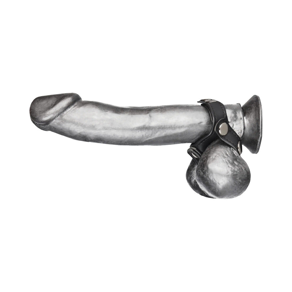 Blue Line C&B Gear V-Style Cock Ring with Ball Divider - Black