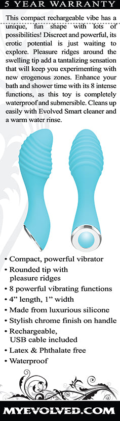 Evolved Novelties Little Dipper Rechargeable Vibrator – Blue
