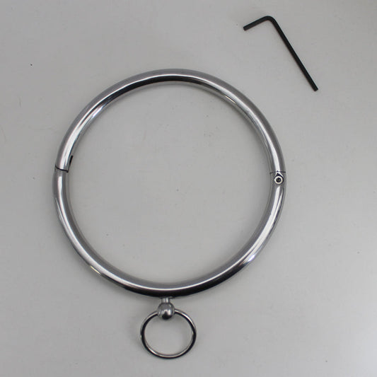 Rouge Stainless Steel Collar with Attached Ring – Silver