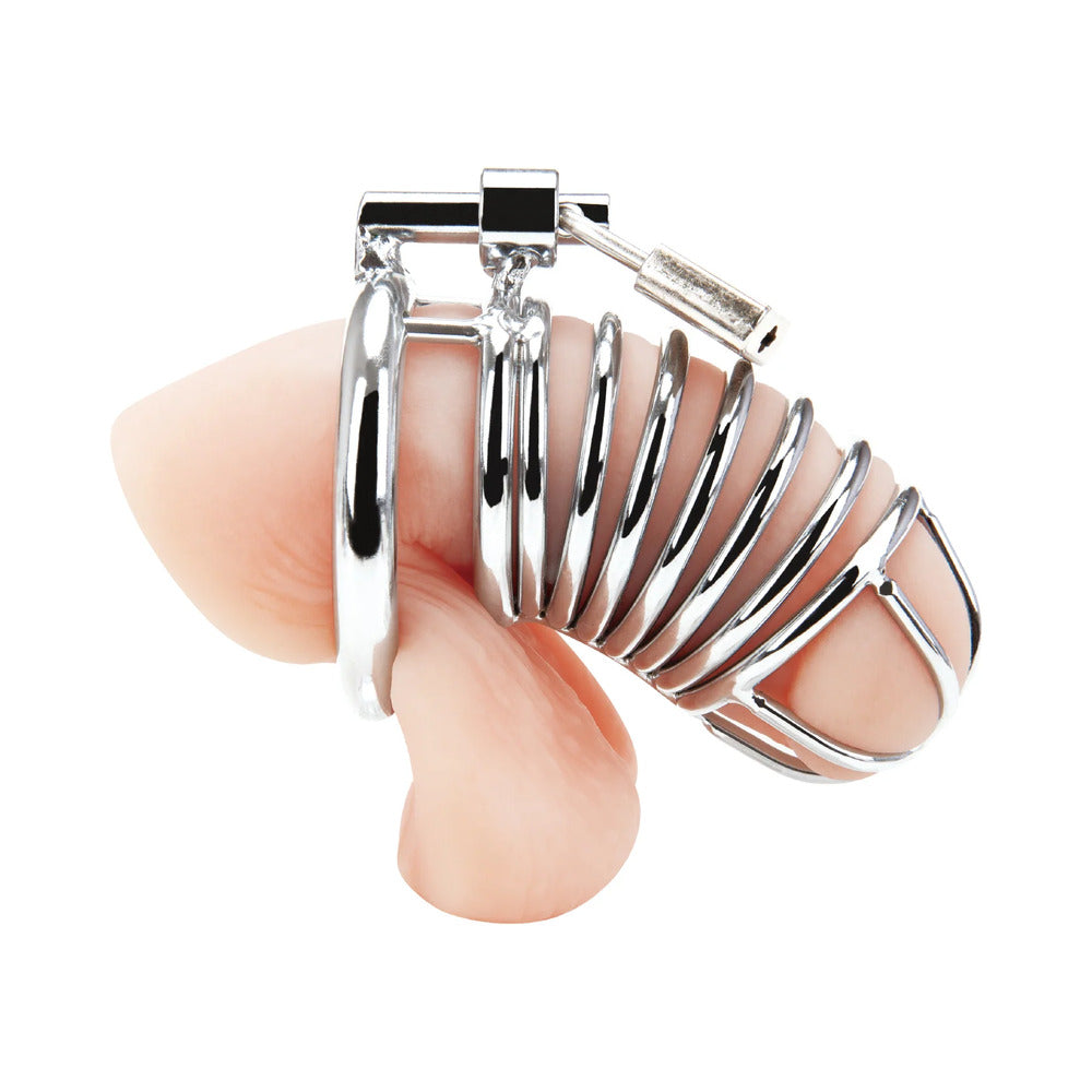 Electric Eel Deluxe Chastity Cage – Silver Metal Design