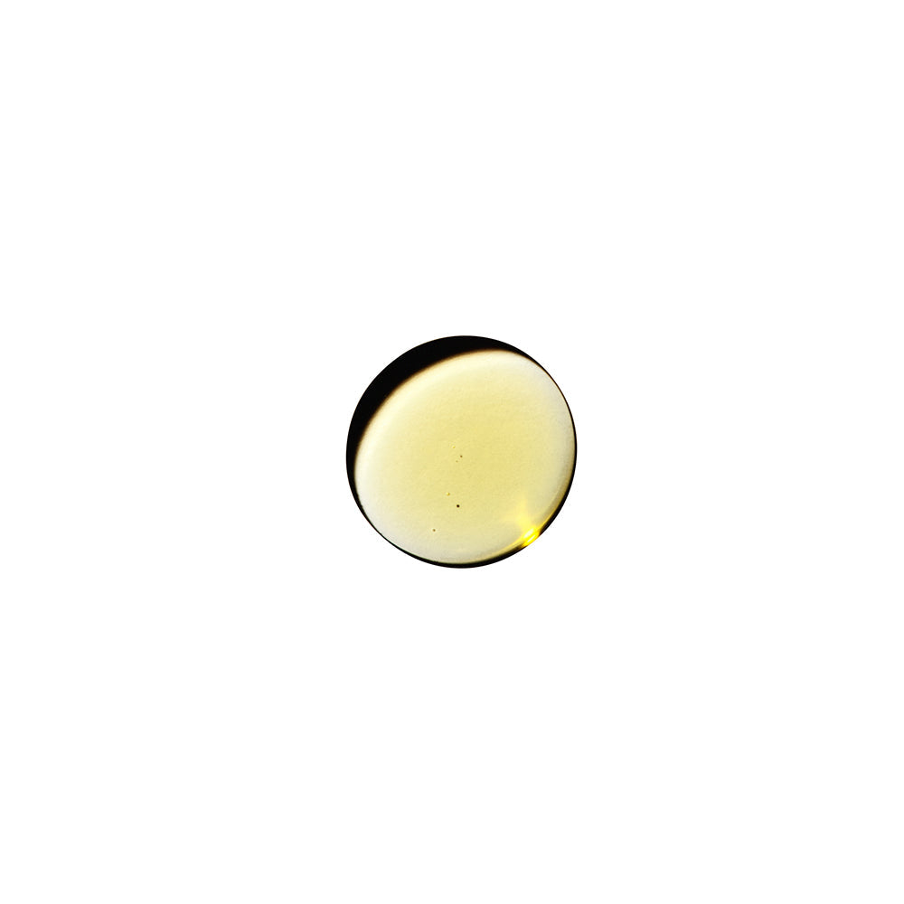 Dame Sex Oil Massage Oil – Sandalwood and Cardamom Scent – 2 oz