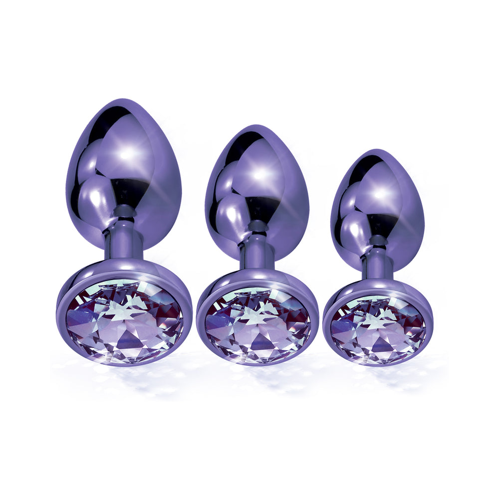 Nixie Metal Butt Plug Trainer Set – 3-Piece Anal Training Kit – Purple Metallic