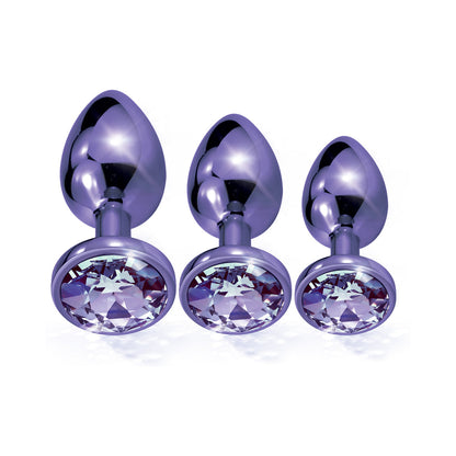 Nixie Metal Butt Plug Trainer Set – 3-Piece Anal Training Kit – Purple Metallic