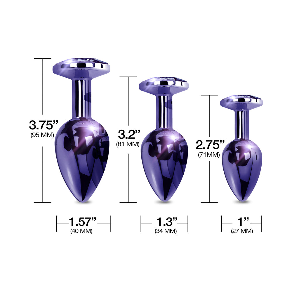 Nixie Metal Butt Plug Trainer Set – 3-Piece Anal Training Kit – Purple Metallic