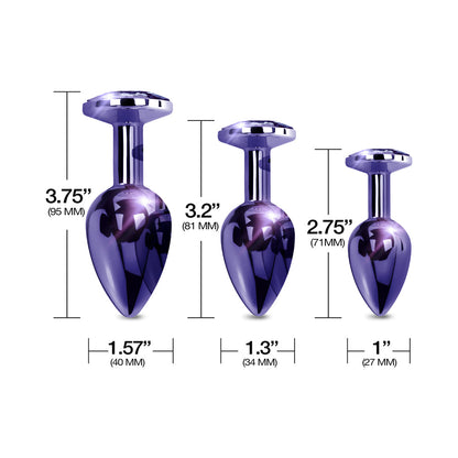 Nixie Metal Butt Plug Trainer Set – 3-Piece Anal Training Kit – Purple Metallic