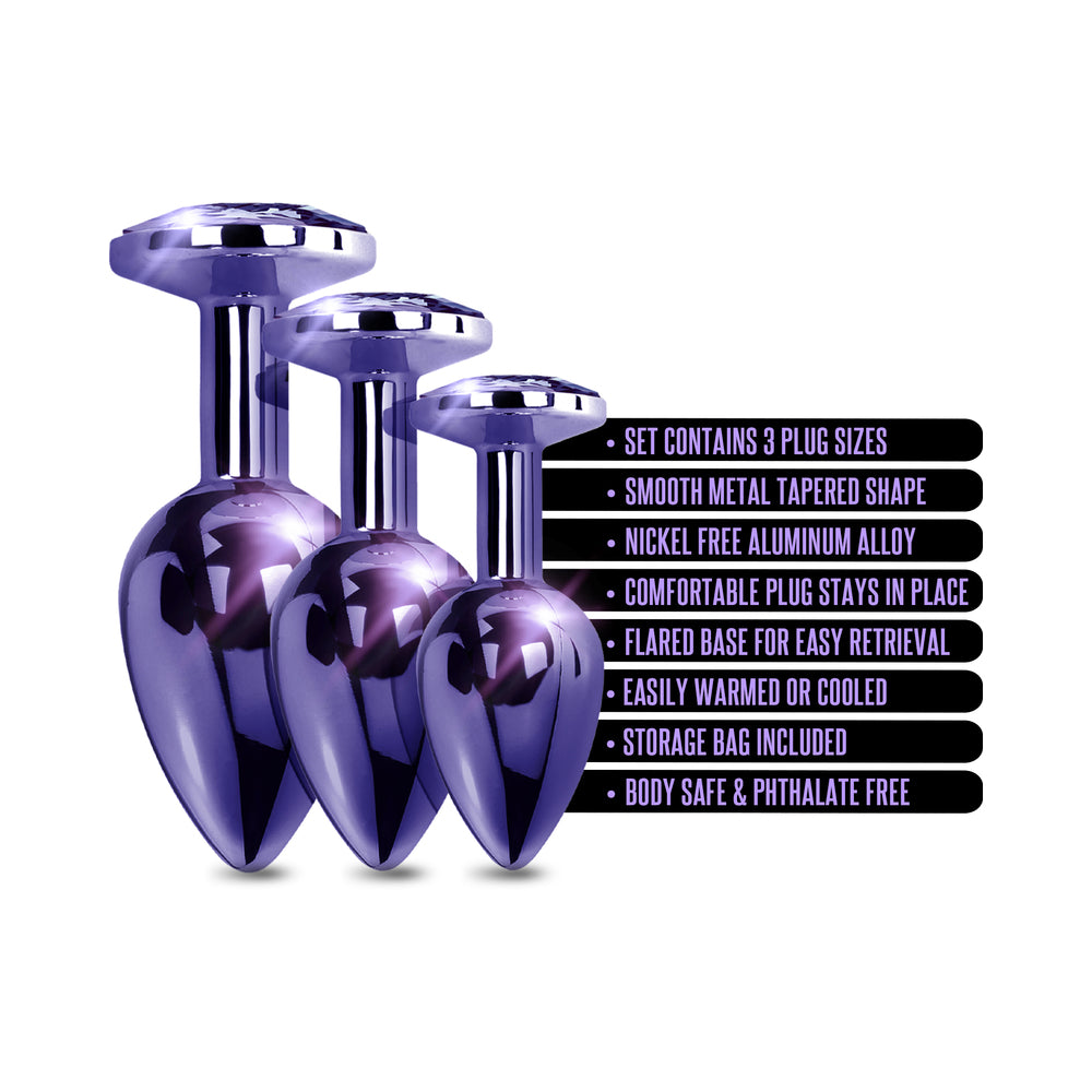 Nixie Metal Butt Plug Trainer Set – 3-Piece Anal Training Kit – Purple Metallic