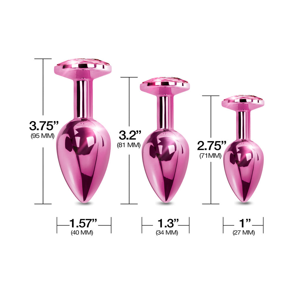 Nixie Metal Butt Plug Trainer Set 3-Piece – Pink Metallic