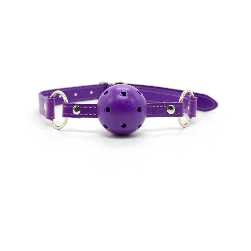 Ple''sur 12-Piece Everything Bondage Kit – Purple
