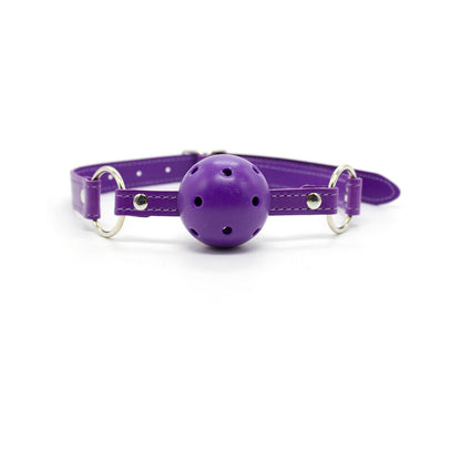 Ple''sur 12-Piece Everything Bondage Kit – Purple