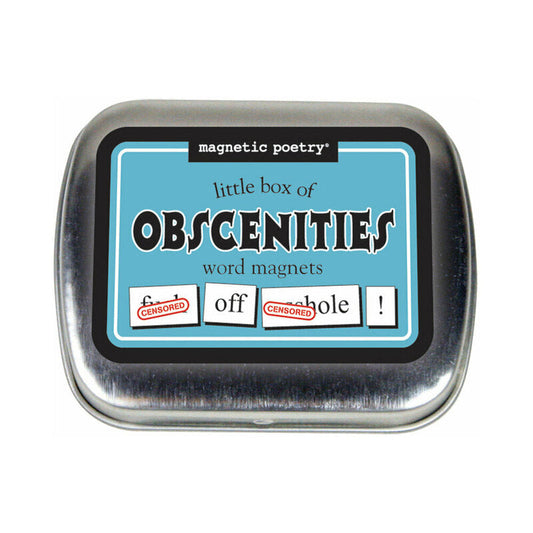 Magnetic Poetry Little Box of Obscenities Word Magnets – Silver