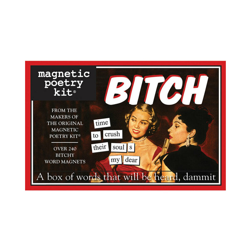 Magnetic Poetry Bitch Edition Magnetic Kit – Silver/Steel/Chrome