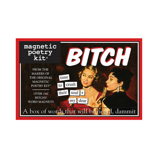 Magnetic Poetry Bitch Edition Magnetic Kit – Silver/Steel/Chrome
