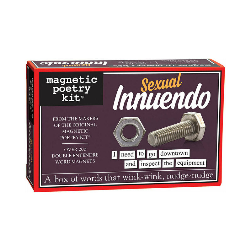Magnetic Poetry Sexual Innuendo Kit – Silver
