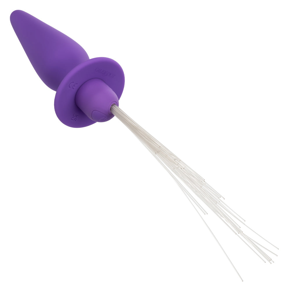 Southern Lights Vibrating Light Up Anal Probe – Purple