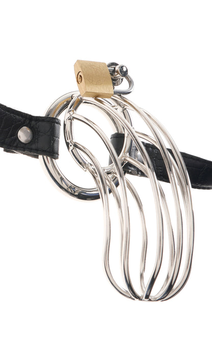 Pipedream Fetish Fantasy Extreme the Prisoner Chastity Cage – Silver