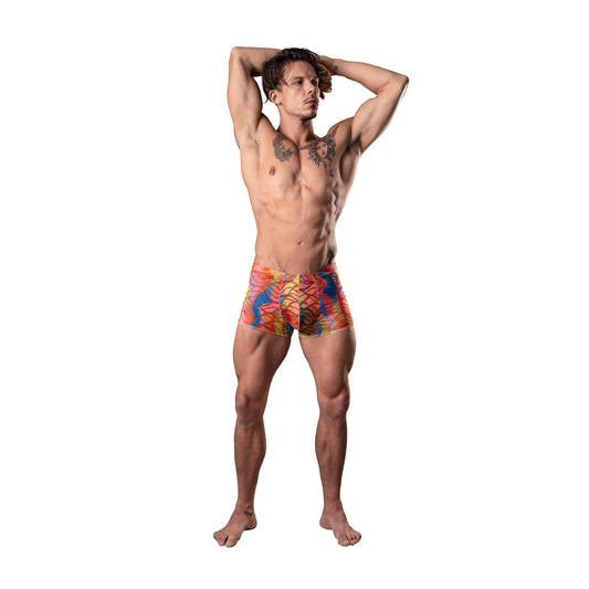 Male Power Your Lace Or Mine Pouch Short – Multicolor, Size L
