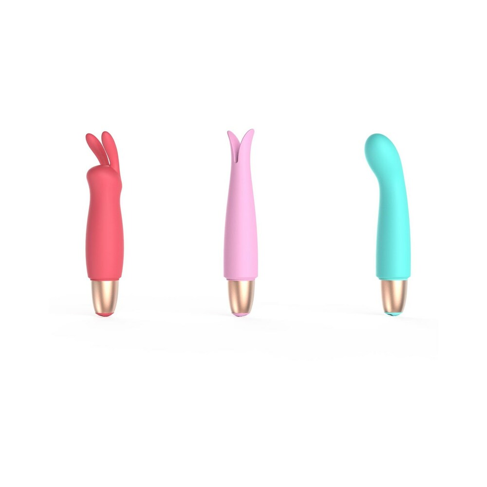 Adam & Eve Playful Seduction Kit – Beginner-Friendly Sex Toy Kit with 3 Sleeves