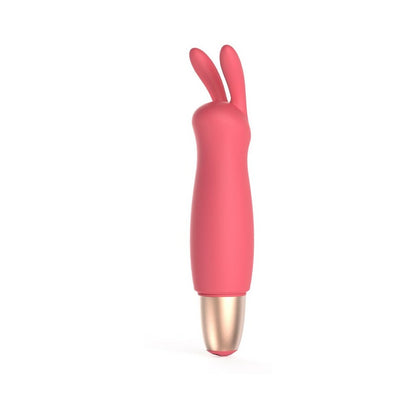 Adam & Eve Playful Seduction Kit – Beginner-Friendly Sex Toy Kit with 3 Sleeves