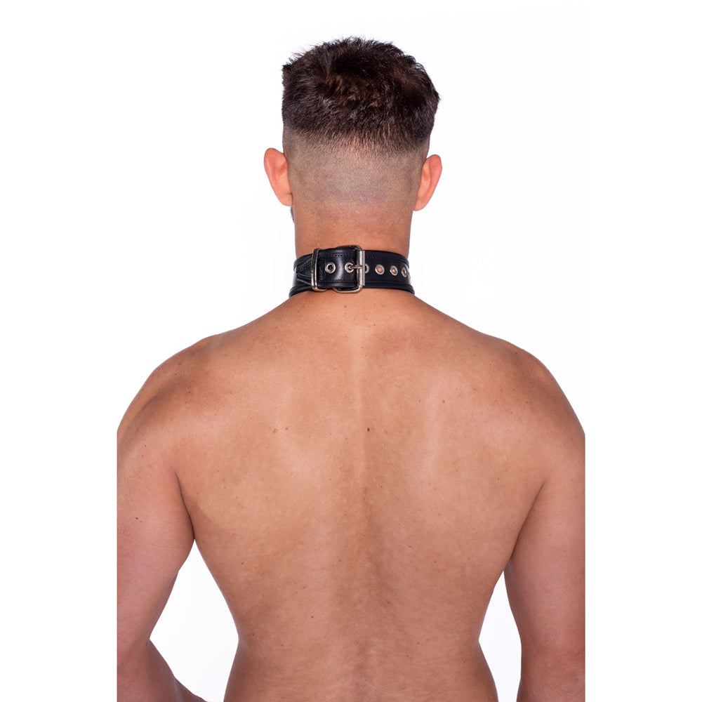 Prowler RED Leather Collar with Strap – Black – O/S