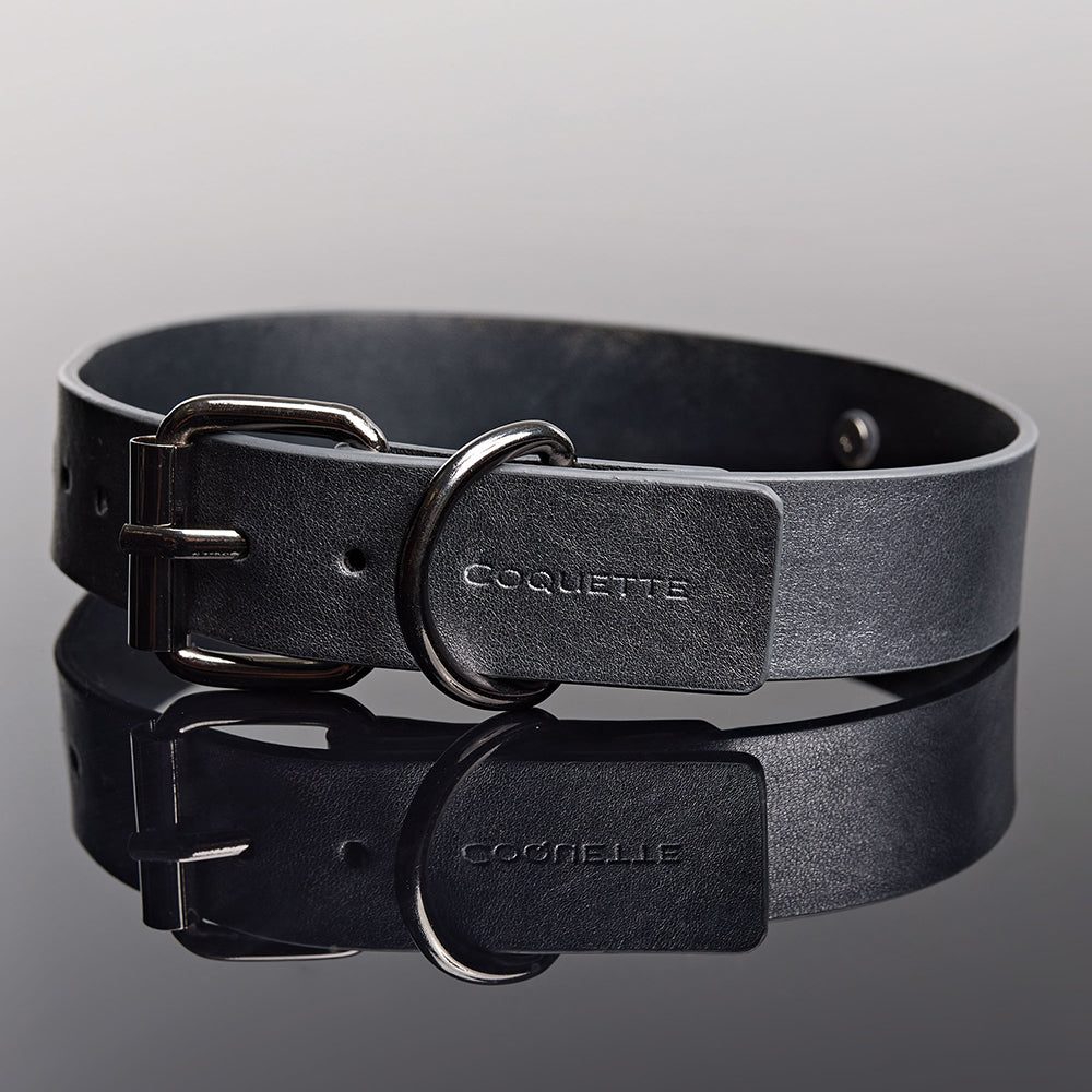 Coquette Pleasure Collar & Leash – Adjustable Grey Faux Leather Set