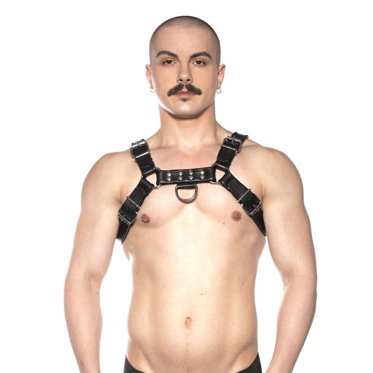 Prowler RED Bull Harness – Black – Size L