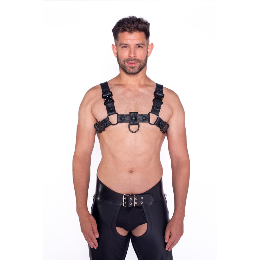 Prowler RED Bull Harness – Black – Size S
