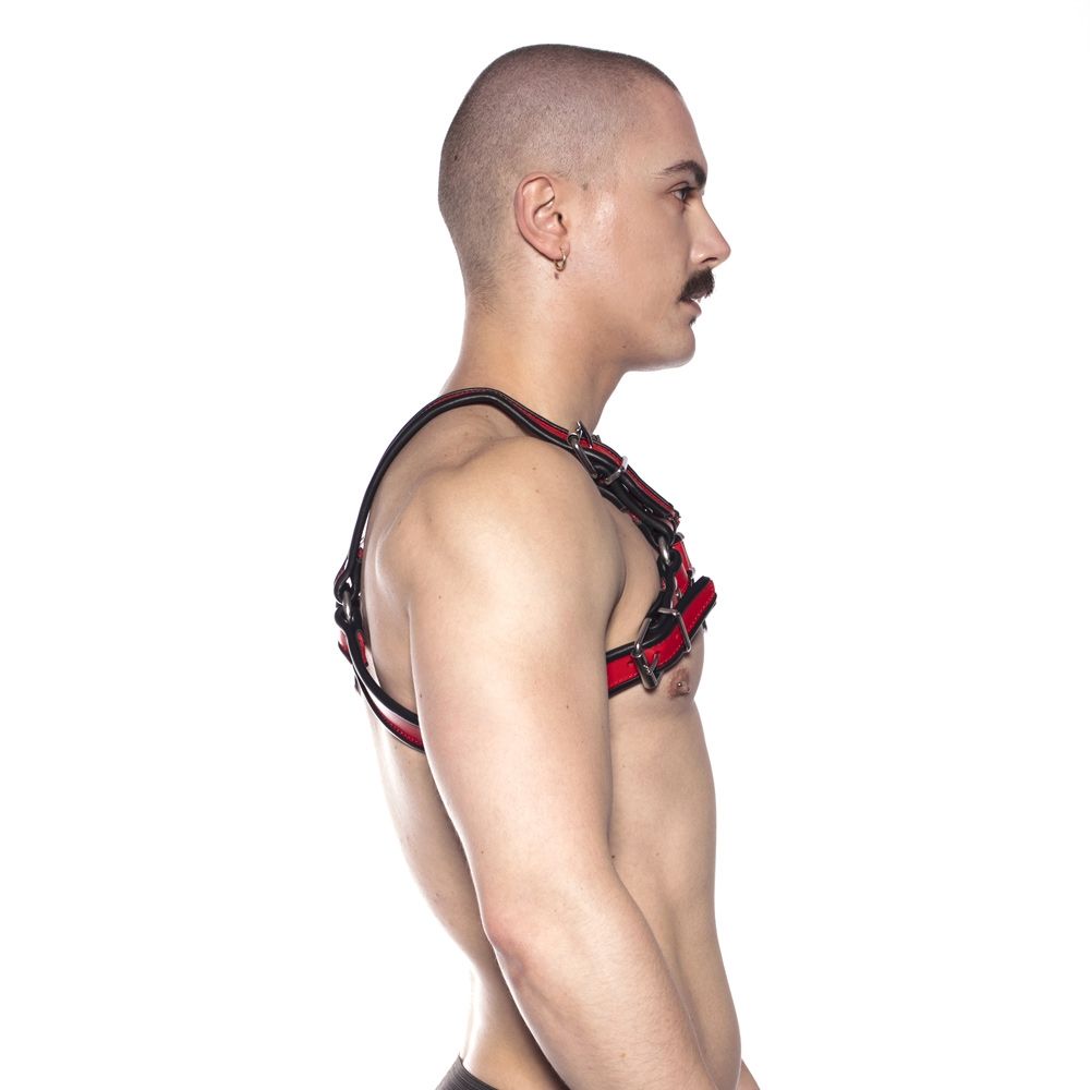 Prowler RED Bull Harness - Black/Red - Size S