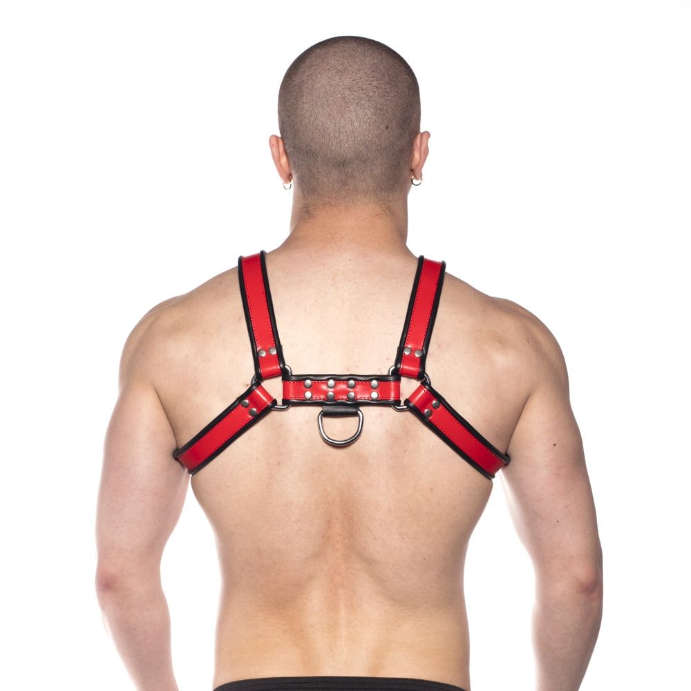 Prowler RED Bull Harness - Black/Red - Size S