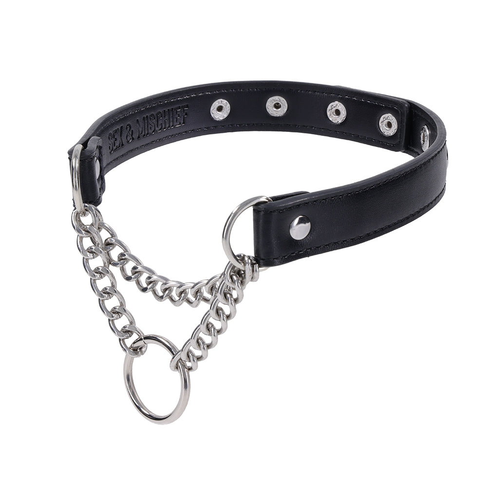 Sportsheets Shadow Day Collar - Black/Silver