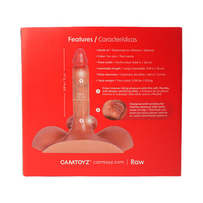 Camtoyz Caster Realistic Torso – Life-like Male Torso Model