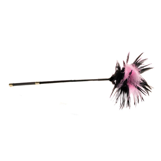 Sex Kitten Feather Tickler – Multi-Color Feather Teaser