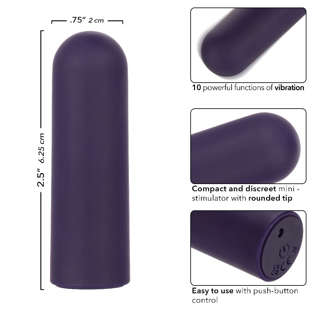 CalExotics Turbo Buzz Rounded Mini Bullet – Purple – Waterproof Multi-Function Stimulator