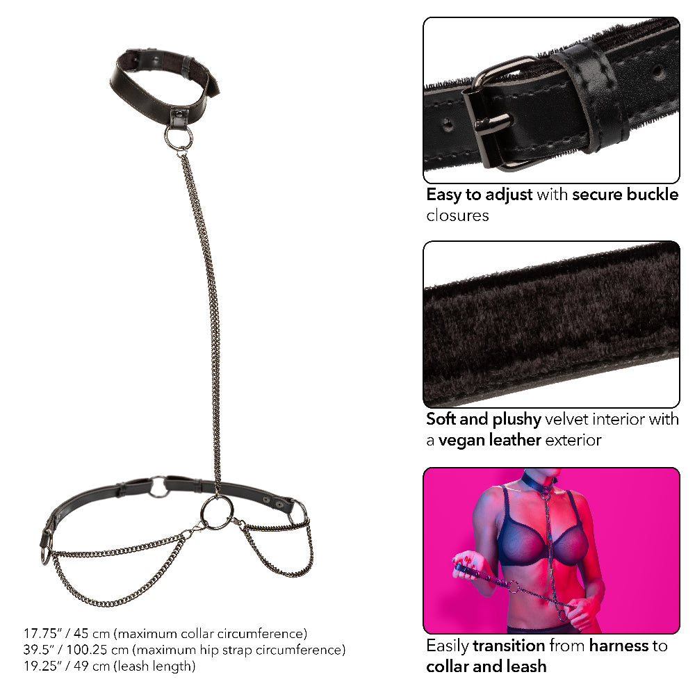 CalExotics Euphoria Collection Chain Halter/Collar and Leash – Black