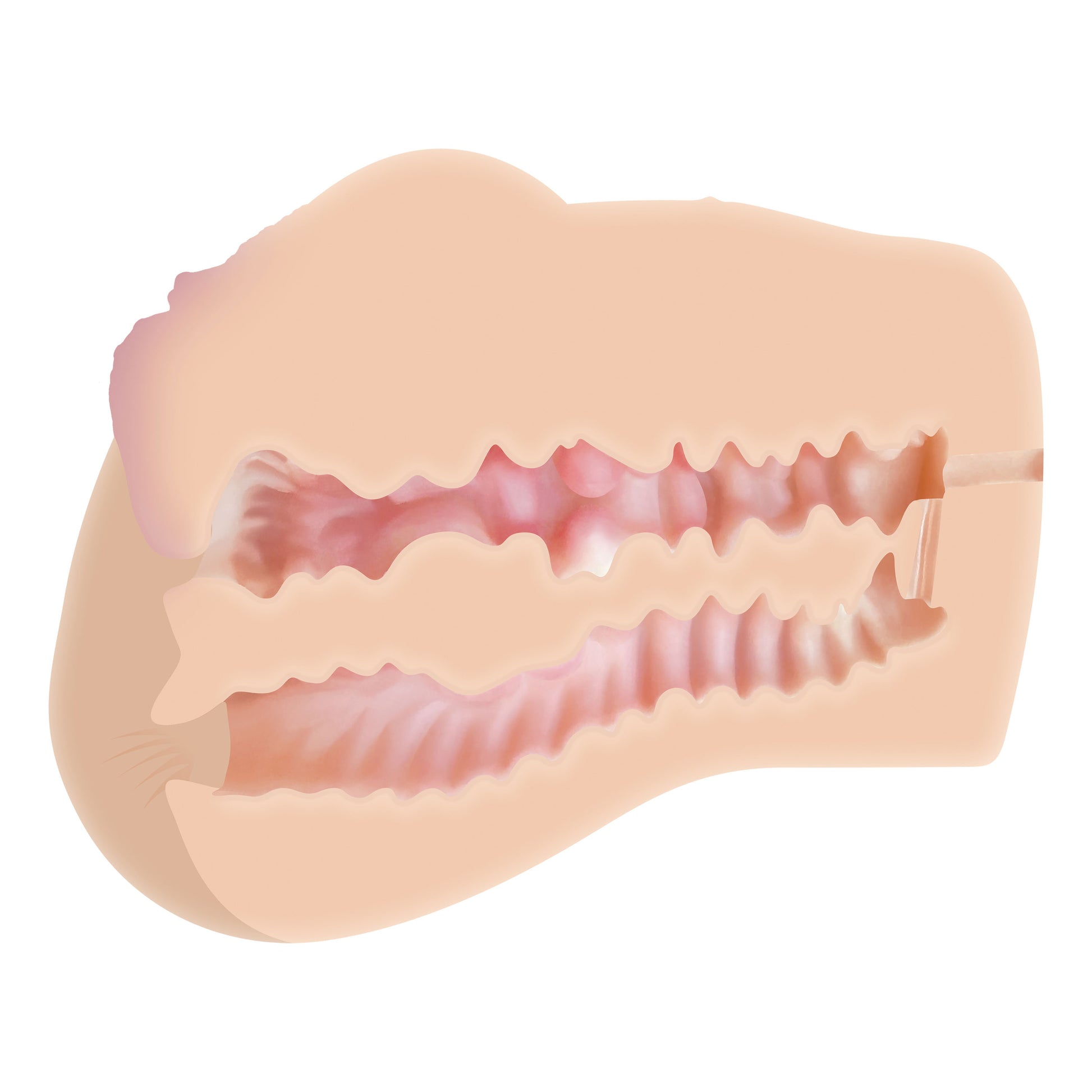 Evolved Novelties Dani Daniels Double Entry Stroker – Beige