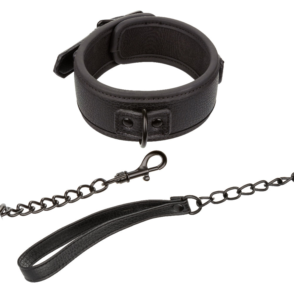 CalExotics Nocturnal Collection Collar and Leash - Adjustable Black Set