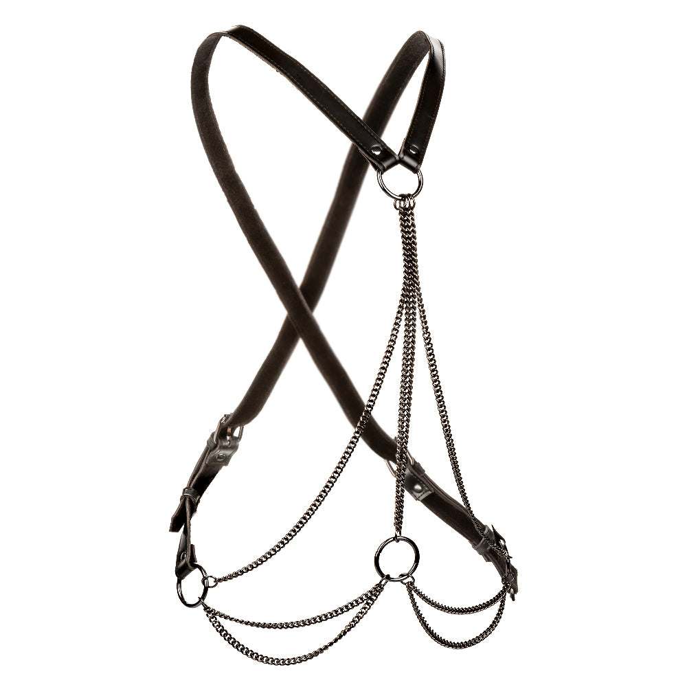 CalExotics Euphoria Collection Plus Size Multi Chain Harness - Black