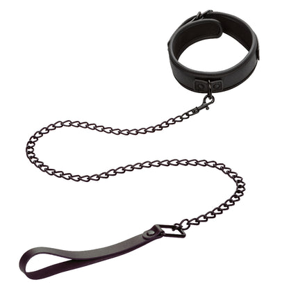 CalExotics Nocturnal Collection Collar and Leash - Adjustable Black Set