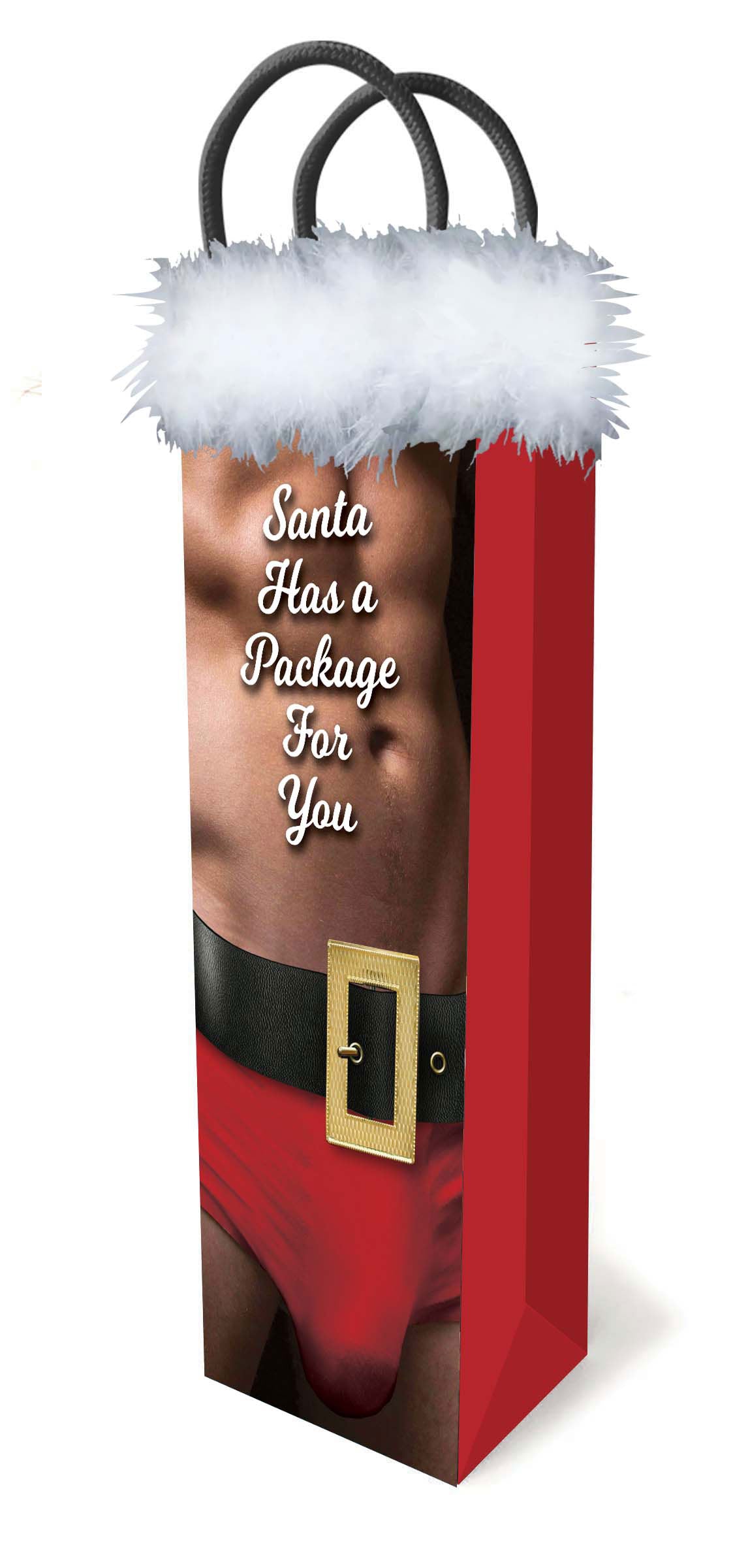 Little Genie Santa Has a Big Package for You Gift Bag – 14" x 4.5"