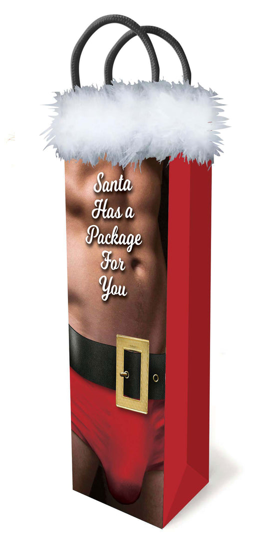 Little Genie Santa Has a Big Package for You Gift Bag – 14" x 4.5"