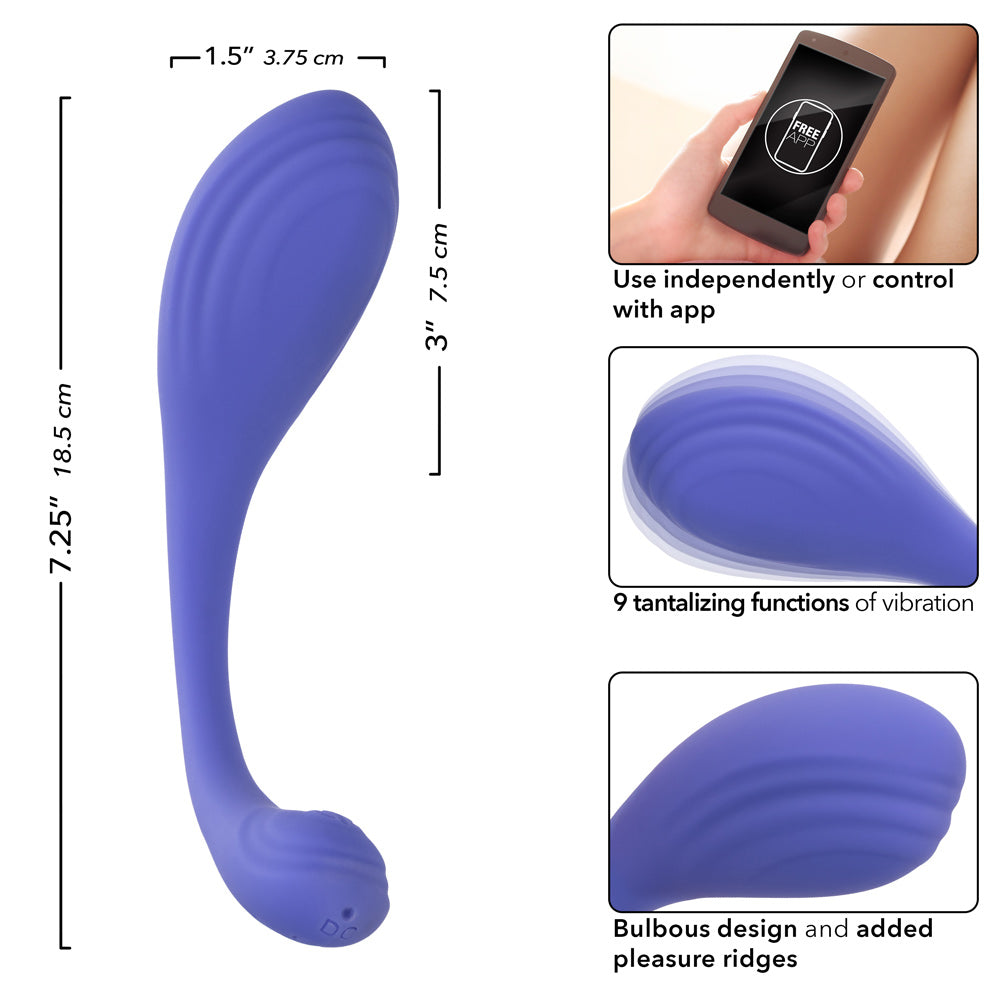 CalExotics Connect Kegel Exerciser - Multi-Function Waterproof Device - Periwinkle