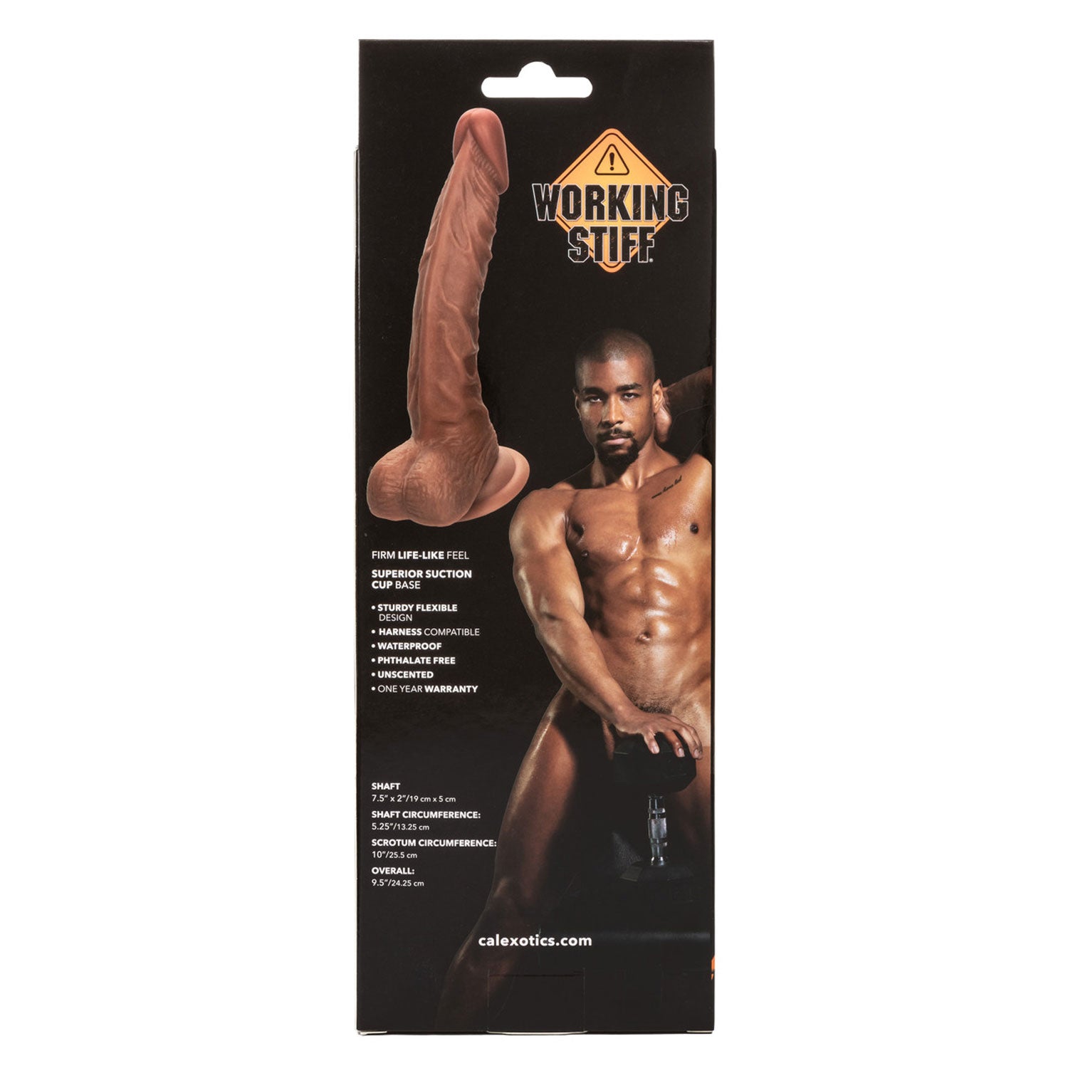 CalExotics Working Stiff The Personal Trainer 7.5" Dildo - Brown