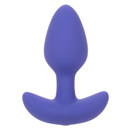 CalExotics Connect Tapered Probe - Multi-Function Vibrating Probe - Purple