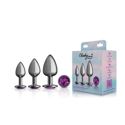 Purple Round Gem Anal Trainer Kit – Gunmetal – Tapered Anal Plugs