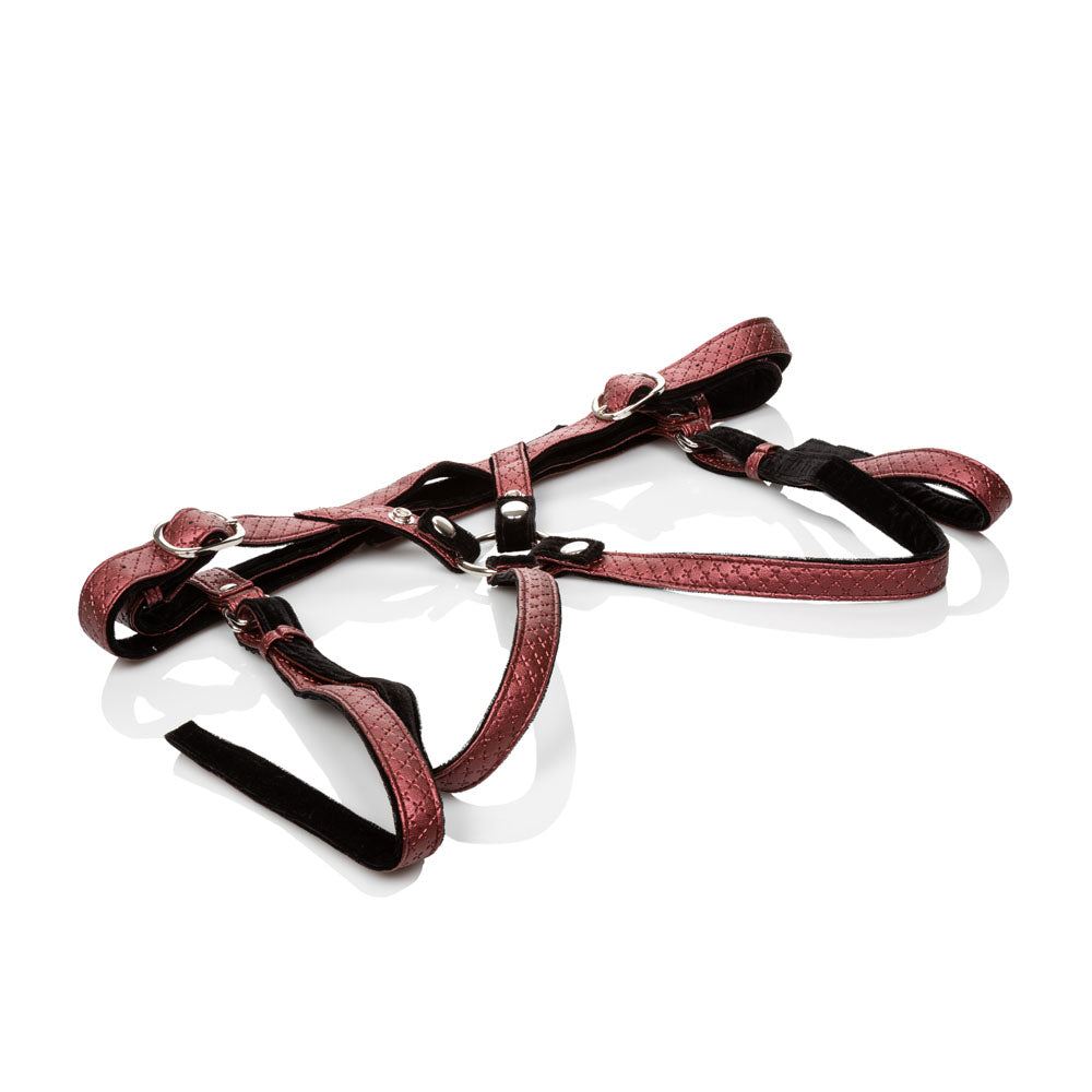 CalExotics Her Royal Harness the Regal Duchess - Crotchless Harness - Red