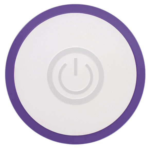 Evolved Novelties Rechargeable Slim Vibrator – Purple