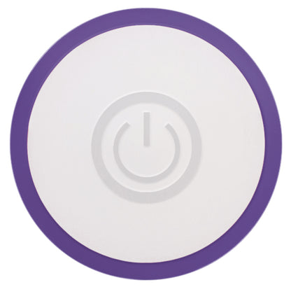 Evolved Novelties Rechargeable Slim Vibrator – Purple